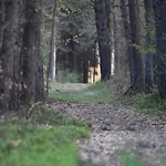 Tatil Evi Modernes Mit Kamin & Garten In Ruhiger Lage *