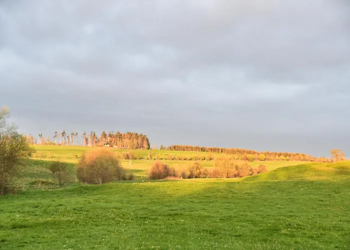 Auerhahn Ferienhaeuser Auerhahn 114 Tatil Evi *